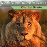 Gondwana Game Reserve