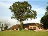 Brunfelsia Estate