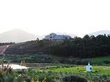 Guinevere Guest Farm