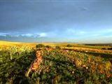 O Live Life Guest House - La Rochelle Farm