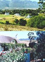 Manley Wine Loge