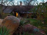 Aloe Lane Guest Loge