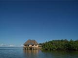 The Sands At Chale Island