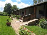 Dedza Pottery Lodge