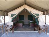 Whistling Thorn Tented Camp
