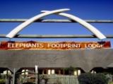 Elephants Footprint Loge