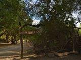 Natron River Camp