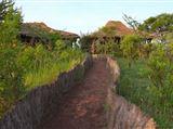 Ngorongoro Forest Tented Lodge