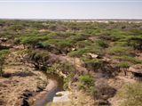 Mbono Tentkamp