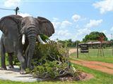 Toeka Accomodatie, Restaurant en Predator Park