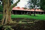Satara Rest Camp Kruger National Park SANParks