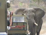 2 Night Just Safari Get Away to Kruger Park