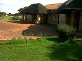 Dinoko Country Loge