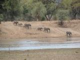 Thornicroft Loge, South Luangwa - Zambia
