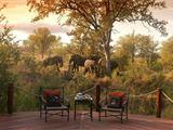 2 Night Hoyo Hoyo Safari Package
