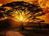 Special Interest Tour: Art Safaris in Southern Africa