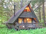 Snowline Cabin #86