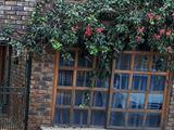 Leafy Studio Apartments