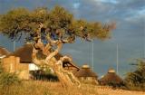 Gocheganas Lodge