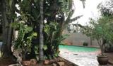 Bosau Guest House