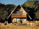 Amorello Africa Chalets