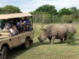 Addo Rivierbank on Sundays -2 Night Safari Package
