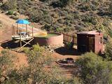 Mongoose Campsite