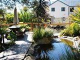 D'Urbanmist Guest House